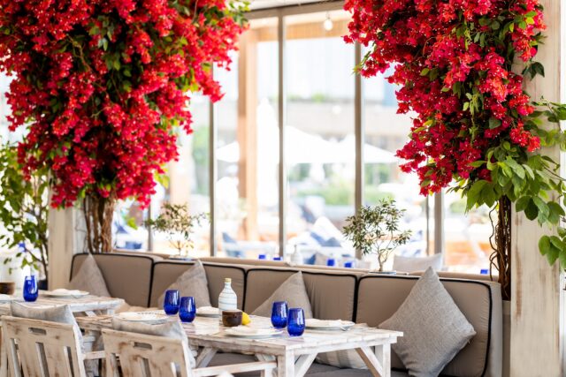 مطاعم يونانية في دبي